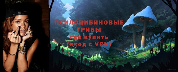 эйфоретик Аркадак