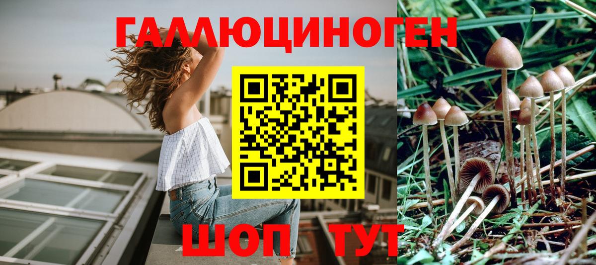 Псилоцибиновые грибы GOLDEN TEACHER Белая Калитва