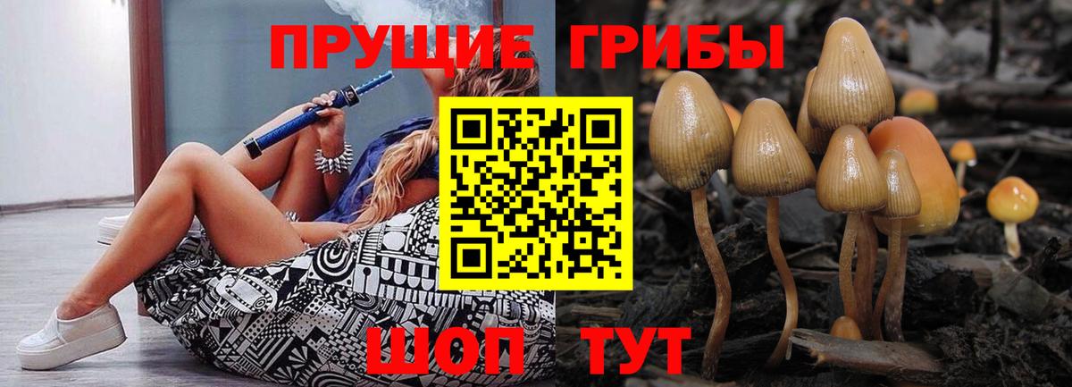 Белая Калитва  Галлюциногенные грибы Cubensis  Вход с VPN 